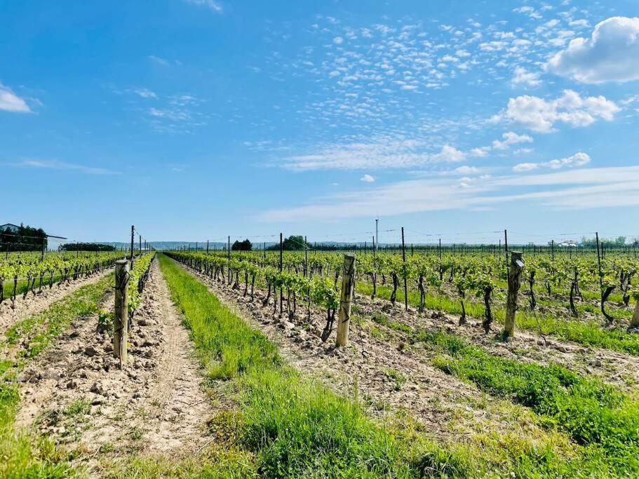 Waterfront Niagara-On-The-Lake Farmhouse On A Vineyard Villa Exterior photo